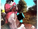 J.J. Cale Naturally 1971 Vinyl Shelter Records SW-8908 Call Me the Breeze
