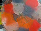 King Gizzard Teenage Gizzard Bootleg New Cosmos Records PLEASE SEE DESCRIPTION