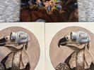 Protest The Hero - Volition 2xLP Gatefold BLACK