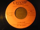 RARE Johnson City, TN lbls Garage Rock The Originals 