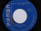 Blues 45 MUDDY WATERS She's Into Something CHESS r