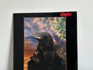 The Stranglers The Raven 1979 UK 3D Lenticular Vinyl LP UAG 30262 Rare