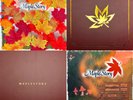 MapleStory Vinyl Box Set 7xLP Maple Story VGM Video Game Music Soundtrack