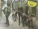 THE CRAMPS - GRAVEST GRAVY 2026 Lime Green Vinyl Album. New Sealed Lux Ivy Bryan