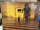 Syd Barrett The Madcap Laughs Original 1970 Vinyl Album Record SHVL 765A-2G