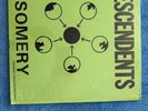 descendents vinyl in shrink somery LP sst records punk rock garefold