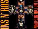 GUNS N' ROSES on LP 