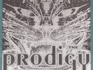 The Prodigy – Charly XLT 21 UK 1st Press 1991 Picture Sleeve NM