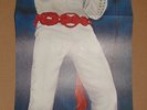 ELVIS PRESLEY ORIGINAL 1971 RCA LP RARE BONUS POSTER