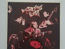 THE LITTER Distortions LP GARAGE