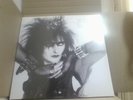 Siouxsie & The Banshees - Just Landed - Florida 1987 [VINYL] 2 LP NEW sealed