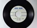 Funk Psych Acetate 45 - Earls - Do You Know What I Mean - unreleased? VG+