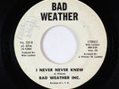 Modern Soul 45 - Bad Weather Inc. - I Never Never Knew - Private - rare