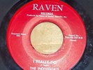 THE INDIVIDUALS 45 I Want Love / I Really Do RAVEN 7