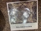Wavelengths Pink Floyd Bootleg LP 1988 (rare)