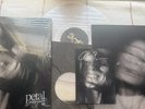Ariana Grande Petal Translucent Pearly White LP SIGNED Silver Ink Signature