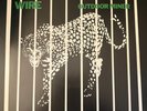 INDIE POST PUNK: Wire 