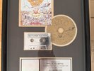 Green Day DOOKIE RIAA 9x Multi Platinum Record Award Reprise 1990s ORIGINAL