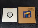 Audioslave 7/10”  rare acetate Soundgarden Rage Against the Machine RATM