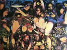 TRAGICALLY HIP,THE Fully Completely [PA]