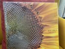 Windy and Carl - We Will Always Be 12’vinyl Lp 2x Disc Vinyl - 2012 Kranky Album