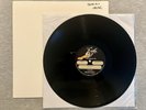 Sum 41 - Chuck Limited TEST PRESSING Vinyl LP Blink Green Day New Found Glory