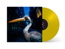Antony Szmierek | Decoding Birdsong | Vinyl LP - Beak Yellow