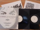 Michael Jackson Invincible 2LP 180g Vinyl Europe 2009 33 Tours RpM Collector