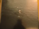 Nf Vinyl