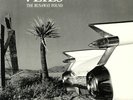 VEILS, The - The Runaway Found (reissue) - Vinyl (LP)