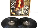 CHER Cher's Greatest Hits: 1965-1992 2x 12