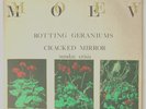 Moev Rotting Geraniums 12