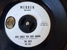 The BATS Evelyn/How Could You Have Known 45 Rpm vinyl