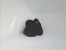 Chelsea Wolfe - Hiss Spun (LP) (Mint (M)) Vinyl