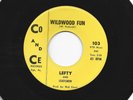 ROCKABILLY 45 - LEFTY and LEADSMEN - WILDWOOD FUN  - HEAR - 1963 PA. CO and CE
