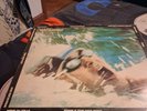That Summer Punk Soundtrack  Punk  UK Vinyl LP