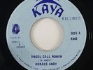 Horace Andy 