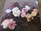 New Order Power, Corruption Lies Vinyl Record