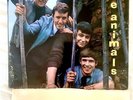RARE UK  1964 mono ANIMALS 1st - ROWDY ERIC  BURDON Garage R&B ROCK INVASION LP