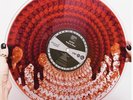 Slayer Reign In Blood 40th Anniversary Limited Zoetrope Blood filled Vinyl LP