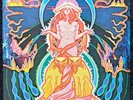 Hawkwind Space Ritual UK Vinyl 2LP 1981 Reissue Liberty Records UAD 60037 Live