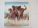 Elvis Costello - Armed Forces LP 1979 Radar Records RAD 14 EX/EX