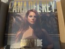 ‘Born To Die: Paradise’ - Lana Del Rey Box Set CD + Vinyl (NEW & SEALED)