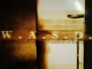 W.A.S.P.   lp K.F.D. on white vinyl