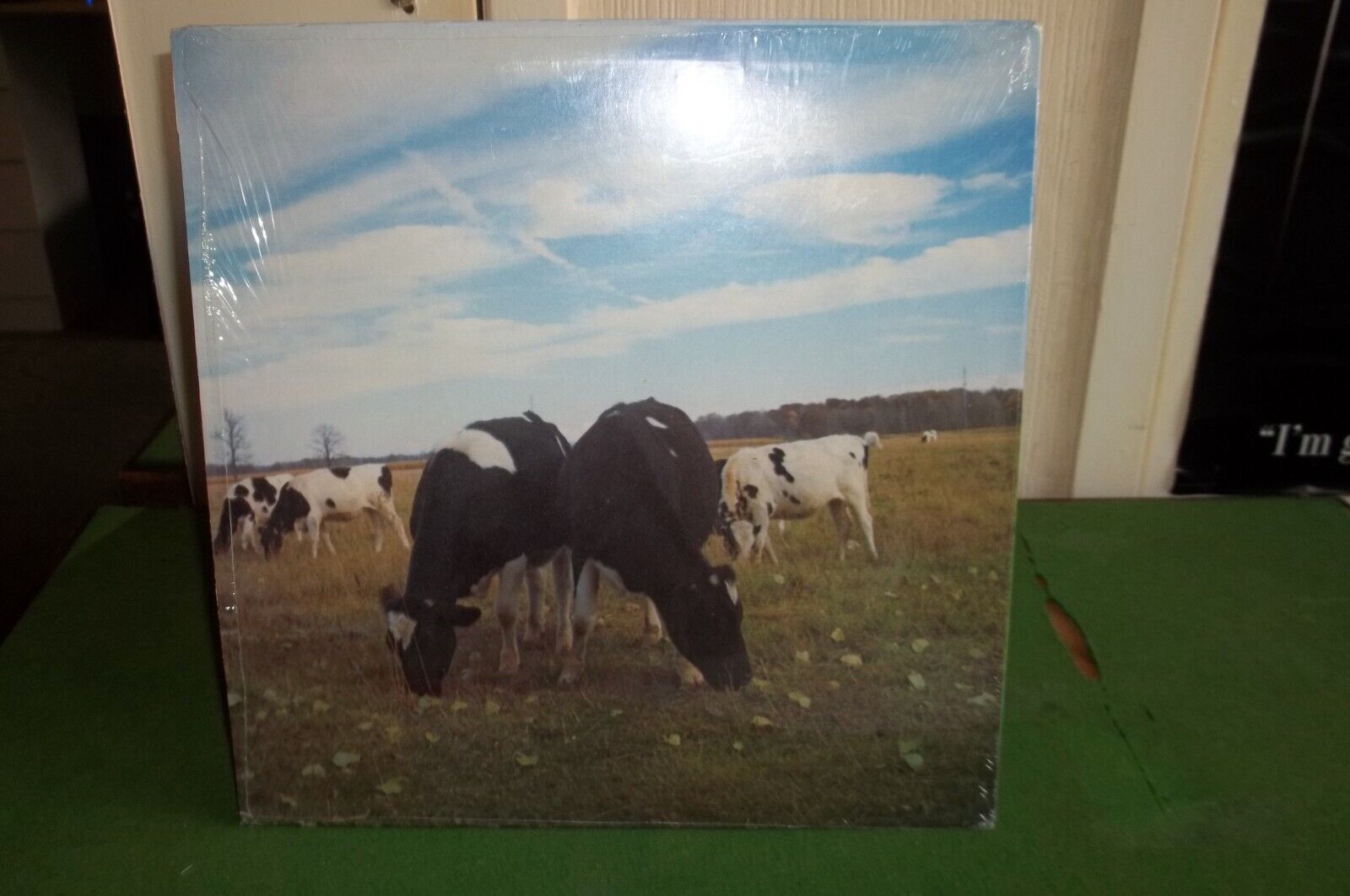 Pic 1 PINK FLOYD LP "DARK SIDE OF THE MOO" TRIXIE CUD-382  EX/EX  THE SCREAMING ABDABS