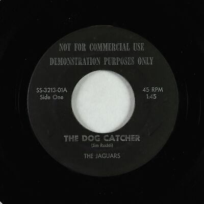 Garage Rockabilly 45 - Jaguars - Dog Catcher/Railroad Drag - rare original
