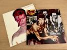 12” Vinyl David Bowie Diamond Dogs / Aladdin Sane 