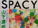 Tatsuro Yamashita - Spacy / NM / LP Album 