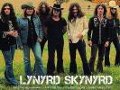 Lynyrd Skynyrd Icon (Vinyl) (US IMPORT)