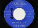 Surf Mod Inst. 45 - Revels - Intoxica 